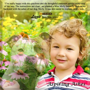 Five-star customer review over a garden scene with a smiling child, translucent dog portrait and pink coneflowers; the review describes planting a Miss Molly butterfly bush with the family dog's ashes.