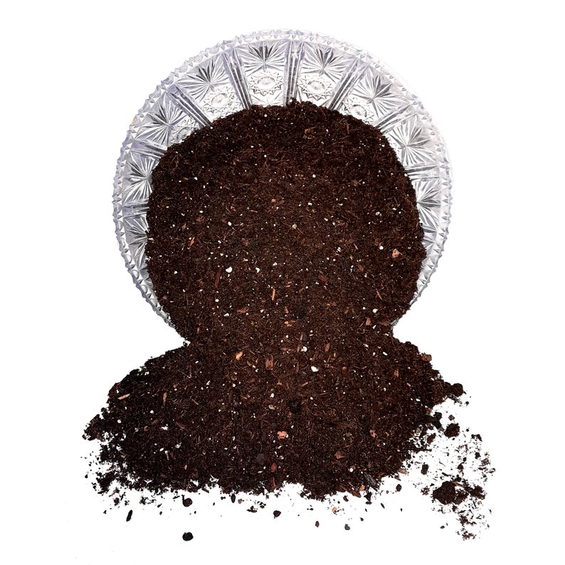 Potting SOIL Mix for CREMATED ASHES House Plant Biodegradable Urn for