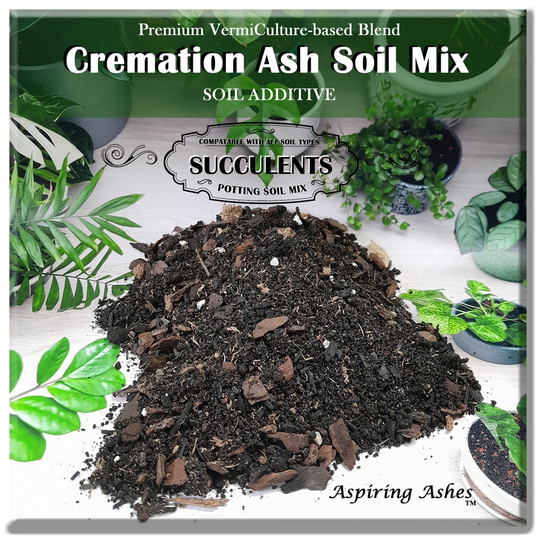 Succulents SOIL MIX for Cremation Ashes Well Draining Hand Crafted