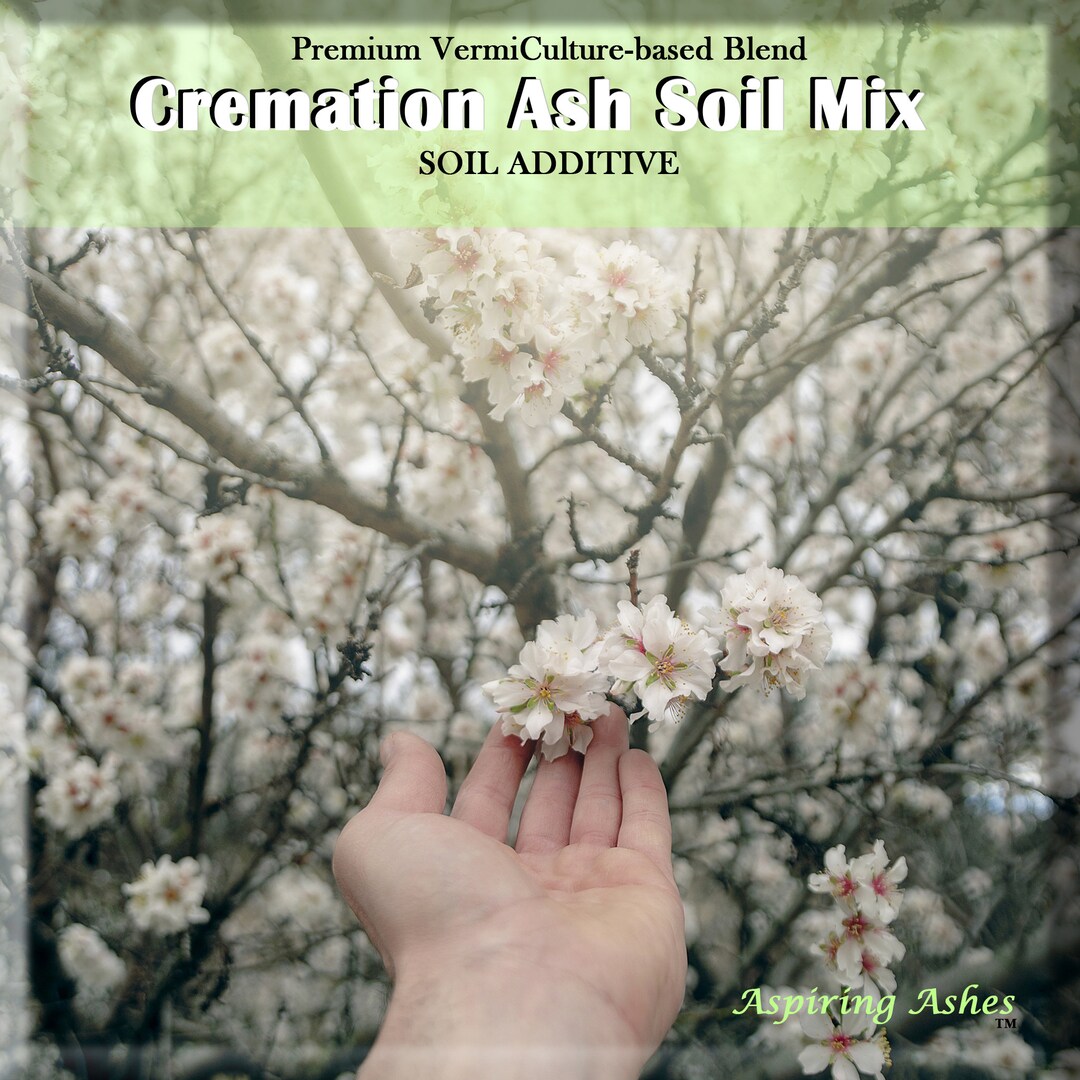 Memorial Cherry Tree of Life CREMATION ASH SOIL Mix Plant a Tree From
