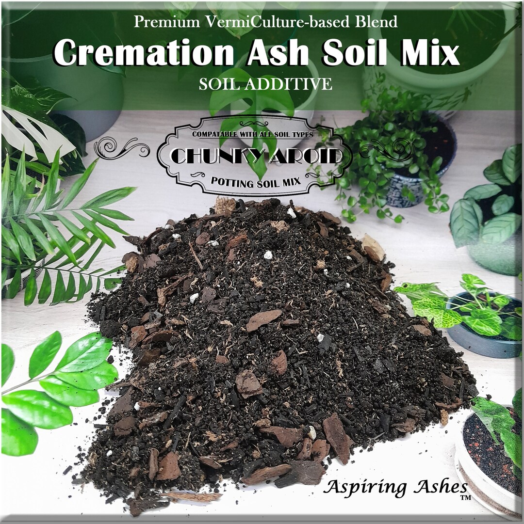 CHUNKY AROID Soil Mix for Ashes Garden Soil Mix for Cremation Etsy