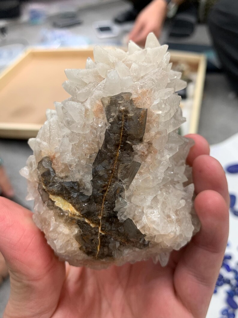 May include: A cluster of natural crystals, primarily white with dark brown and yellow inclusions. The crystals have a rough, textured surface and are held in a hand. The overall shape is irregular and organic, showcasing the raw beauty of the mineral formation.