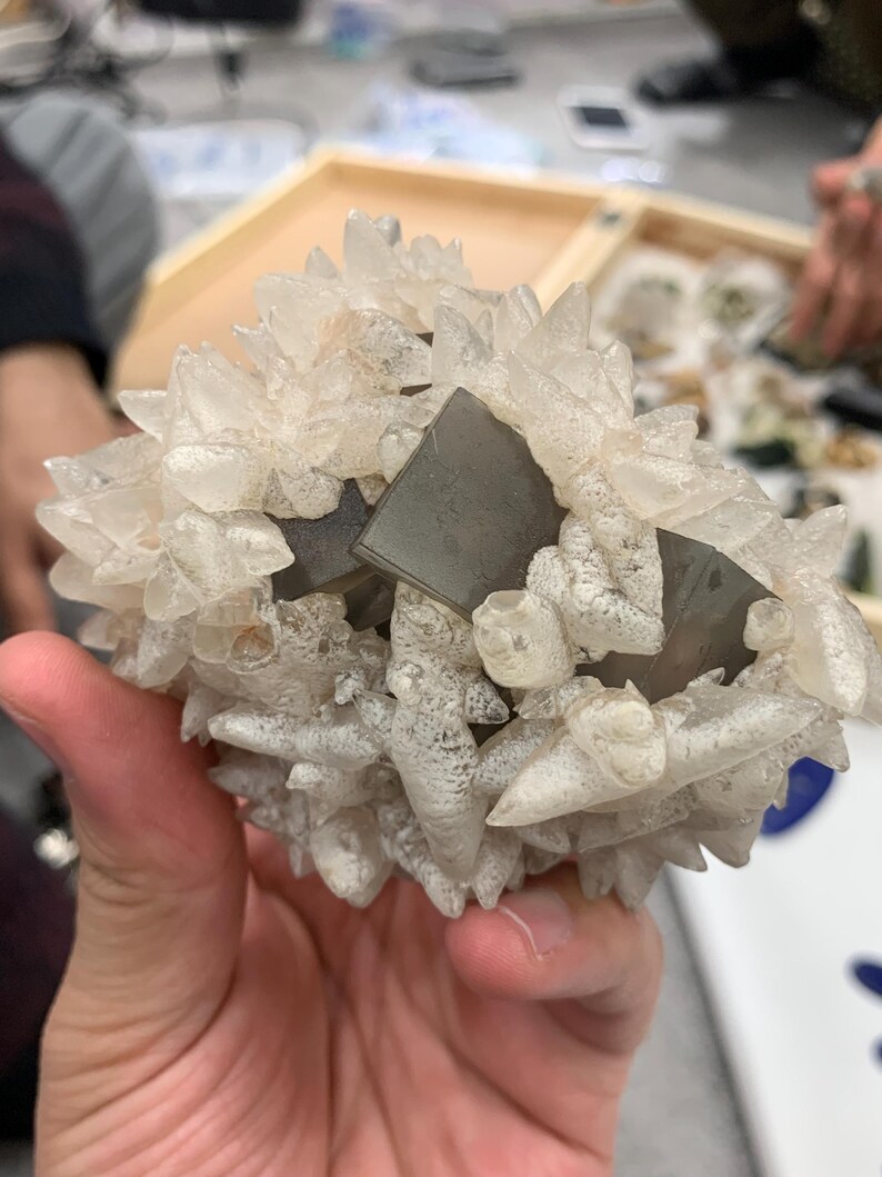 May include: A cluster of clear quartz crystals surrounding a dark gray, rectangular mineral. The crystals have a spiky, irregular shape, and the mineral is smooth and flat. The object is held in a hand.