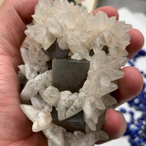 May include: A cluster of clear, crystalline formations surrounding a dark, geometric mineral. The crystals have sharp, pointed edges and a frosted appearance. The mineral appears to be a dark gray or black color. The overall composition is a natural, geological specimen.