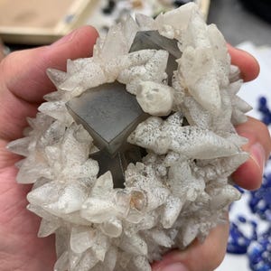 May include: A cluster of crystals featuring a central, dark gray, cubic structure surrounded by white, spiky formations. The crystals are held in a hand, with other minerals visible in the background. The overall appearance is natural and geological.