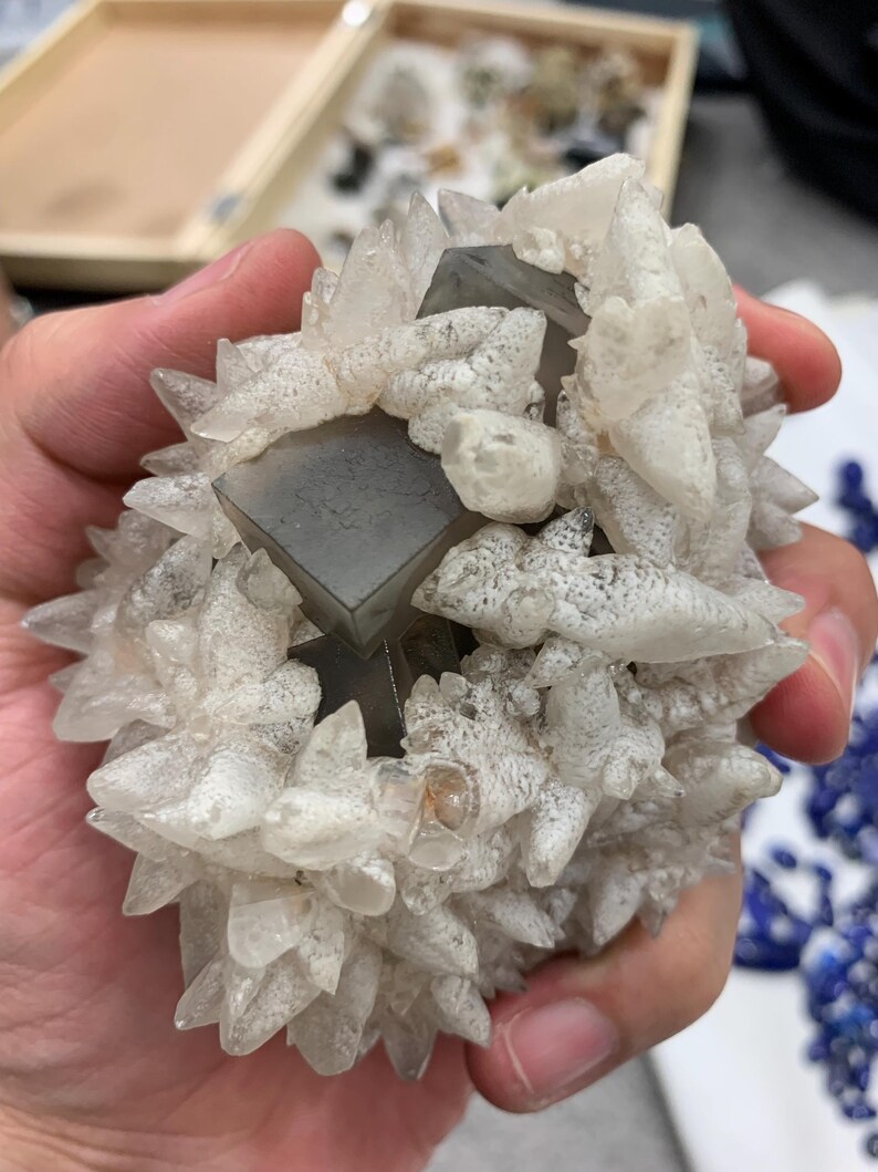 May include: A cluster of crystals featuring a central, dark gray, cubic structure surrounded by white, spiky formations. The crystals are held in a hand, with other minerals visible in the background. The overall appearance is natural and geological.