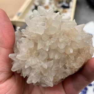 May include: A cluster of clear, crystalline quartz points, held in a hand. The quartz crystals are clustered together, creating a spiky, textured appearance. The base of the cluster has a light tan color. The background shows a wooden box with other crystals.