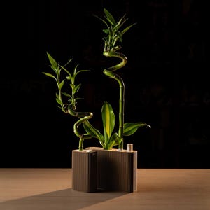 Modern Bamboo Planter | Minimalist Plant Pot | Parametric Design Planter | Indoor Plant Holder