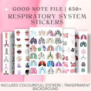 May include: A set of digital stickers for GoodNotes featuring over 650 illustrations of the respiratory system. The stickers include colorful images of lungs, bronchi, trachea, and other parts of the respiratory system. The stickers have a transparent background.