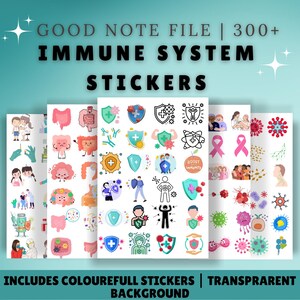 Peut inclure: Ensemble d'autocollants colorés sur le système immunitaire, avec des illustrations de boucliers, de cellules et de symboles médicaux. Le texte indique "GOOD NOTE FILE | 300+ IMMUNE SYSTEM STICKERS". Les autocollants ont un fond transparent.