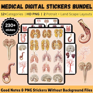Naklejki z anatomii medycznej: Pielęgniarka i studentka medycyny Goodnotes (PNG do pobrania w wersji cyfrowej)