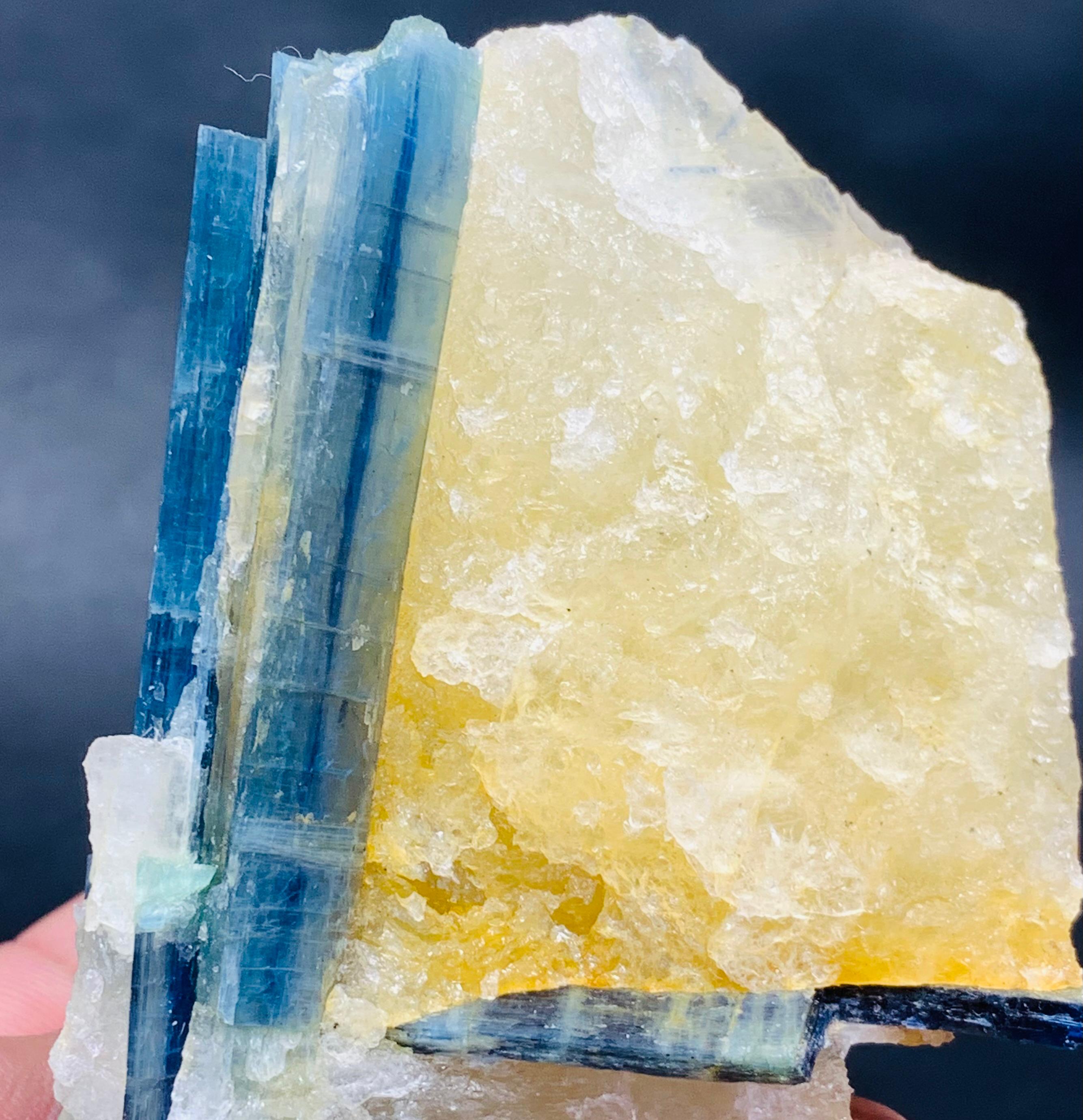 マトリックス上のカイヤナイト結晶 - Etsy 日本