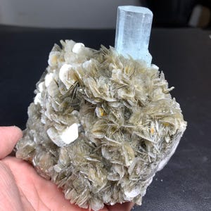 Puede incluir: Formación natural de cristal de aguamarina. Un cristal hexagonal azul claro de aguamarina se eleva desde una base de mica en capas de color marrón claro. La mica tiene una apariencia en capas, en forma de abanico, con algunas inclusiones cristalinas blancas.