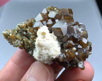 Grupo de granates andradita de color marrón intenso: cristales dodecaédricos brillantes de Pakistán.