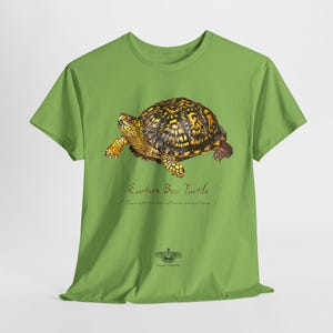 Maglietta tartaruga scatola orientale