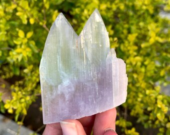 Bi Color Kunzite Crystal, Raw Mineral Specimen (50.70 Gram)