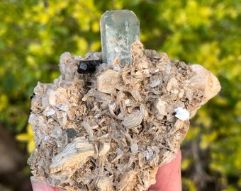 アクアマリン＆ショール標本：パキスタン・スカルドゥ産クリスタル