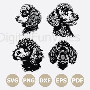 May include: Four black and white illustrations of poodle heads. The image presents different views of the poodle's head, highlighting its curly coat. The bottom of the image includes the text "SVG PNG DXF EPS PDF" in a circular design.