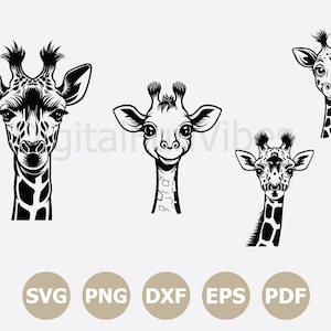 Baby Giraffe SVG: African Animal Vector, Cricut Cut File (Digital Download
