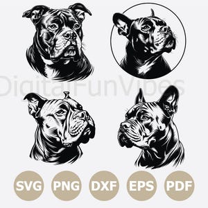 May include: Black and white illustrations of dog heads. The image includes four different dog portraits, each with detailed shading. The bottom of the image features the text "SVG PNG DXF EPS PDF" in a circular design.