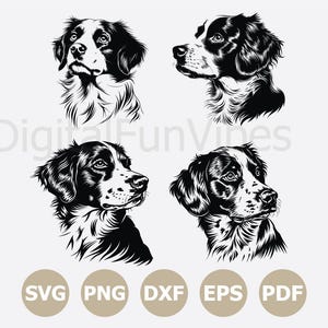 Kooikerhondje hond SVG bundel voor Cricut, spaniel hondenras Svg, dier huisdier puppy Canine Vector, hondenras clipart, png dfx digitale download