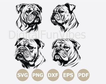 English Bulldog Mascot SVG Bundle, Bulldog Football Png, Eps, dxf, (Digital Download)
