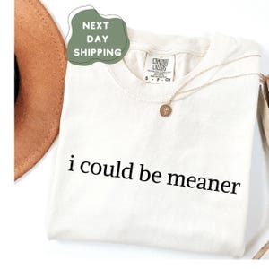 Comfort Colors® I Could Be Meaner Shirt Spicy Attitude Shirt Perfect Gift for Nice People Sarcastic Shirt Funny Humor Shirt Funny Quote Tee