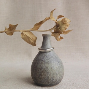 Peut inclure: Un petit vase en céramique grise avec un anneau argenté autour du col. Une tige brune séchée avec des feuilles s'étend du vase. Le vase a un corps arrondi et un col étroit, sur un fond neutre.