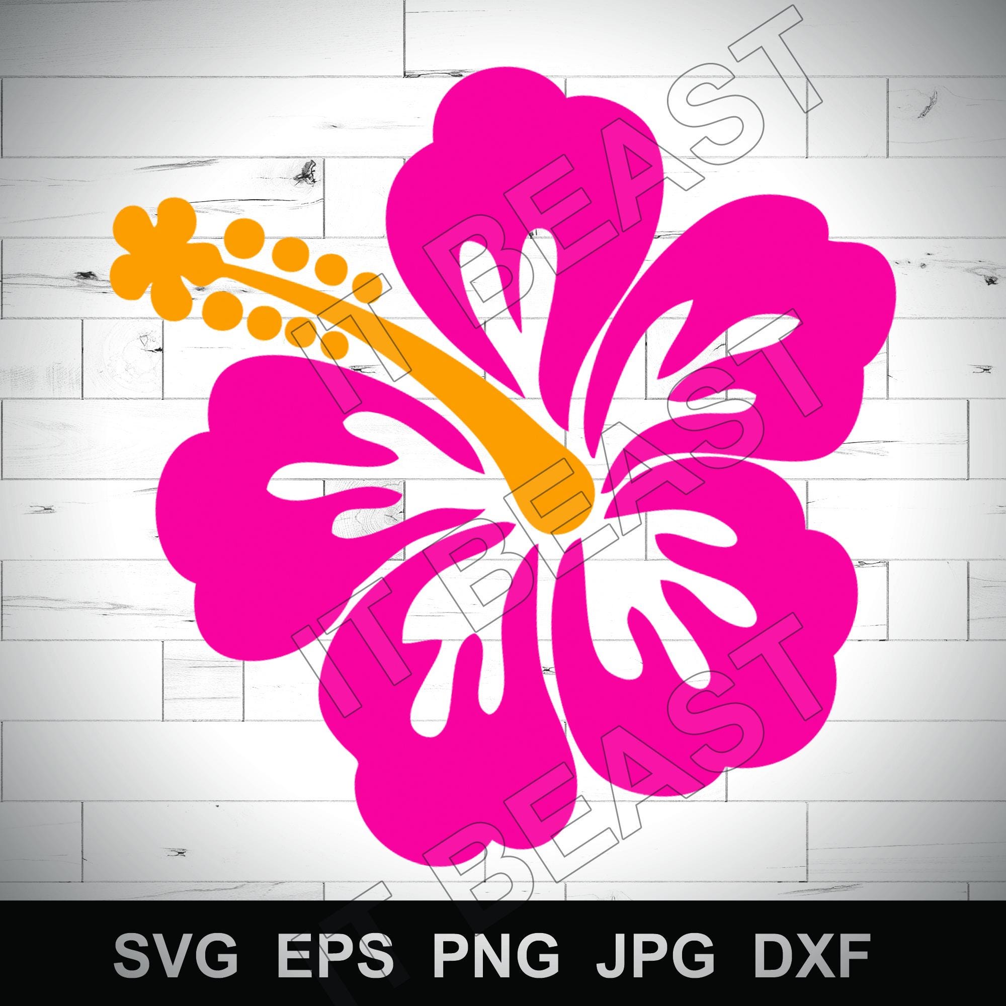 HIBISCUS Svg ,hawaii Flower Template Layered File Svg , Dxf , Jpg , Png ...