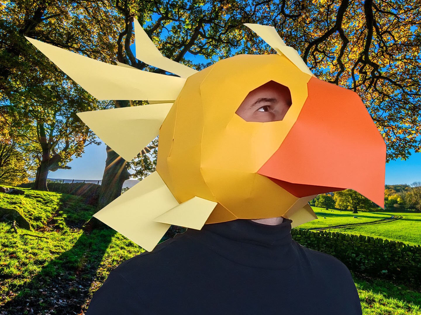 DIY Bird Mask Pattern – Craft Foam or Paper (PDF Pattern) - Etsy