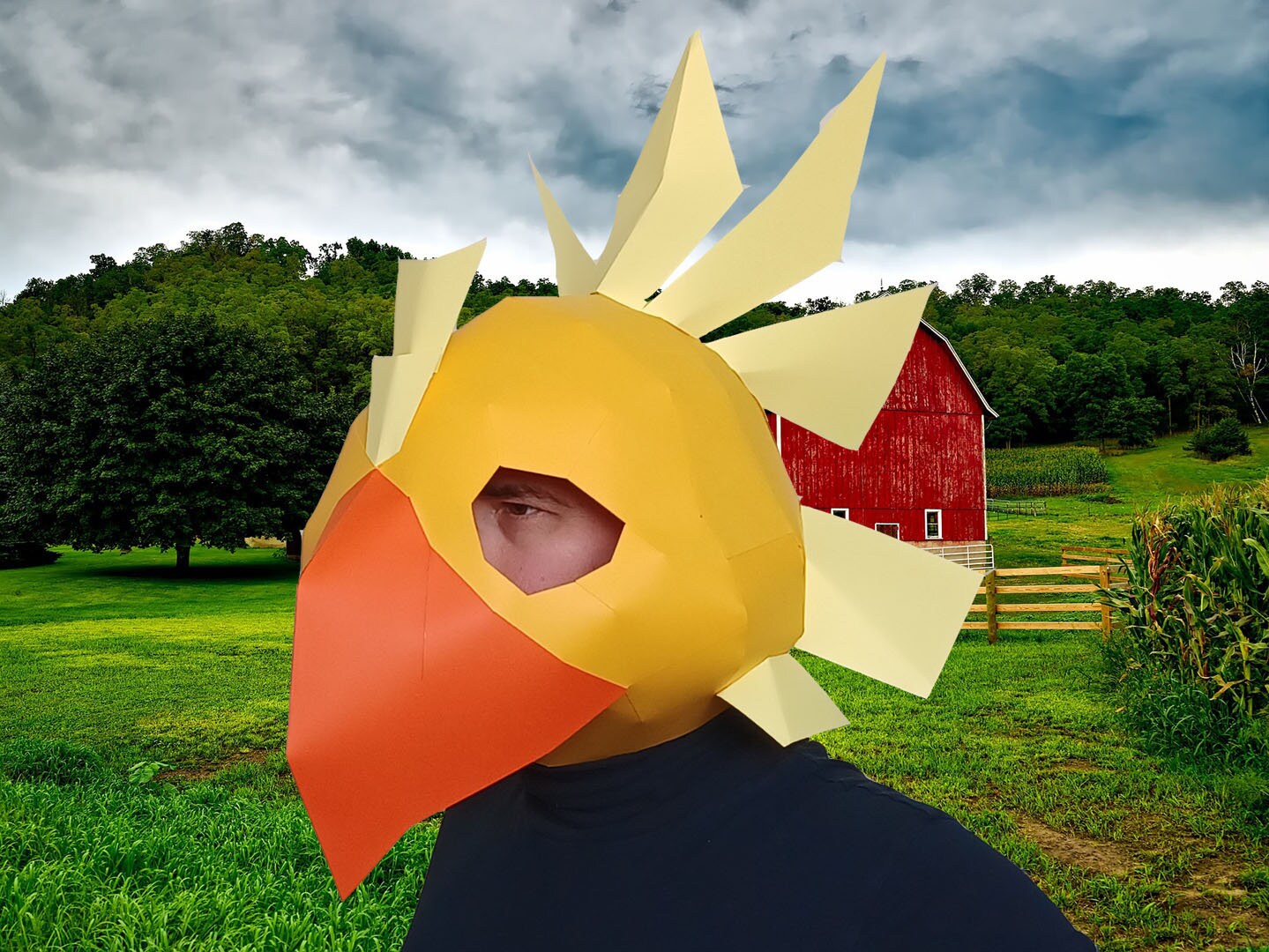 DIY Bird Mask Pattern – Craft Foam or Paper (PDF Pattern) - Etsy