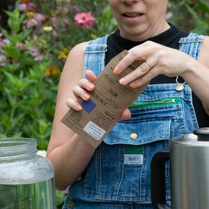 May include: A person wearing denim overalls holds a brown packet labeled "PLUM COLOR PACK" with a blue square. A large glass jar and a stainless steel kettle are in the foreground. The background features a garden with green foliage and colorful flowers.