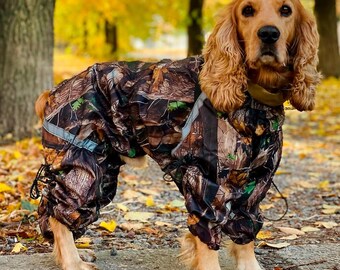 Mono impermeable para perros: reflectante y para todas las estaciones.