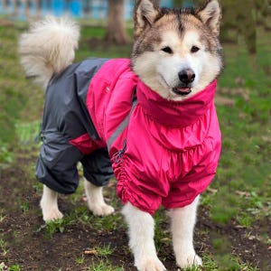 Waterproof  Dog Jumpsuit for Girls | Adjustable Dog Raincoat for all Breeds | Breathable Nylon Lining | Spring Fall Outfit