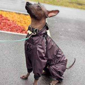 Dog Raincoat Waterproof - Lightweight Dog Jumpsuit - Reflective Rain Jacket  Dogs - No Lining - Full Body Dog Coat - Spring Fall Dog Clothes