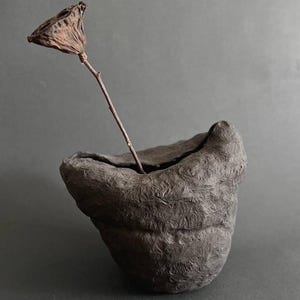 Könnte beinhalten: Eine dunkelgraue, strukturierte Keramikvase mit einem getrockneten Blumenstiel im Inneren. Die Vase hat eine einzigartige, organische Form.