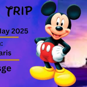 Disneyland Paris Customisable Ticket | Digital Download | Disney Ticket | Canva Template