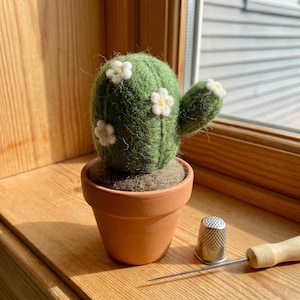 Filz kaktus - Etsy.de