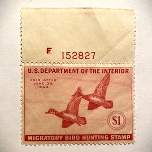 1944 Wood Ducks Federal Duck Stamp: RW10 MNH OG F/VF
