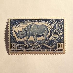 1947 French Equatorial Africa 10c Black Rhinoceros & Rock Python stamp; MNH, OG, free domestic shipping