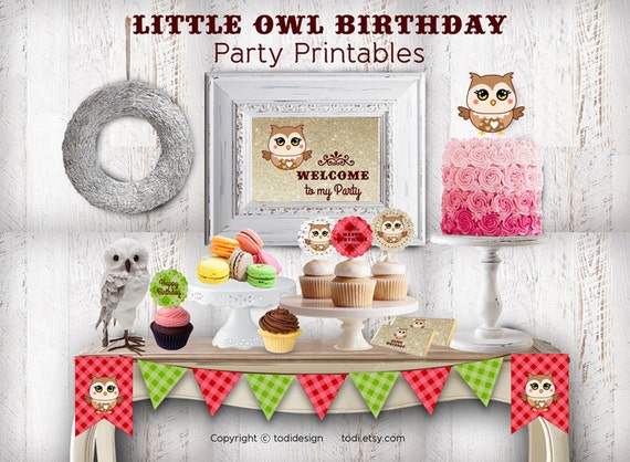 Little Owl Birthday Party Printables Instant DOWNLOAD PDF files by todi ...