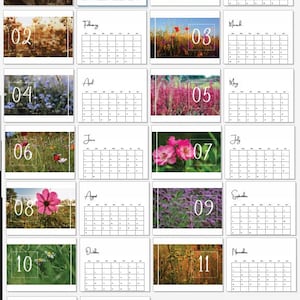 2025 Printable Wall Calendar | Digital Download Floral Calendar | Botanical Calendar | DIY 2025 Wall Calendar | 2025 Instant Planner