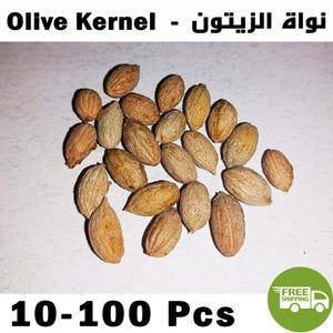 Moroccan Natural Olive Kernel Seed Original - نواة الزيتون