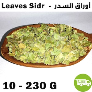Moroccan Sidr Seder Dried Whole Leaves and Powder Natural Organic Herb - أوراق السدر المغربي