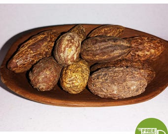 Moroccan Ood Saleeb Peony Paeonia Natural Dried Root Herb Incense - عود الصليب الفاوانيا