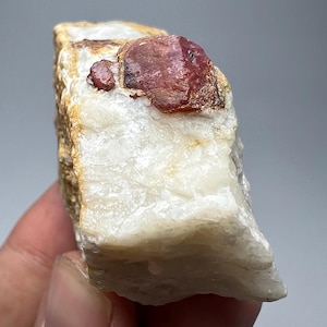 May include: A raw mineral specimen showing a white and tan matrix with two reddish-pink crystals. The crystals have a rough, textured appearance, contrasting with the smoother, lighter-coloured base. The mineral is held in a hand.