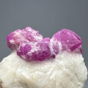 May include: A close-up of a mineral specimen featuring vibrant pink crystals clustered on a white matrix. The crystals have a crystalline structure and a glossy appearance. The white matrix has a rough, textured surface.