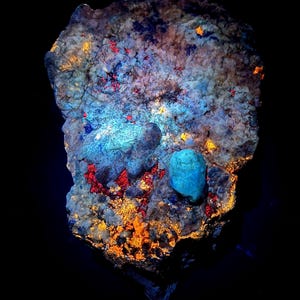 Op de afbeelding: Een close-up van een mineraalmonster met een donkere achtergrond. De steen heeft een ruw, getextureerd oppervlak met gebieden van blauwe, oranje, rode en gele fluorescentie. Twee turquoise gekleurde stenen zijn zichtbaar.