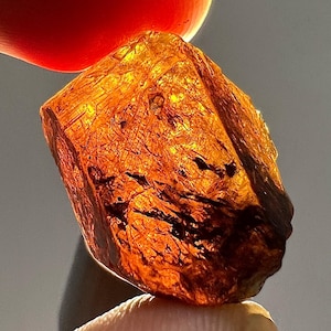 47 Carat Natural Lustrous Dravite Tourmaline Crystal Specimen – Rare Collector’s Mineral from Badakhshan Afghanistan