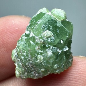 Demantoid granat 10 karat helt terminerad grön kristallkluster mineralprov från Pakistan